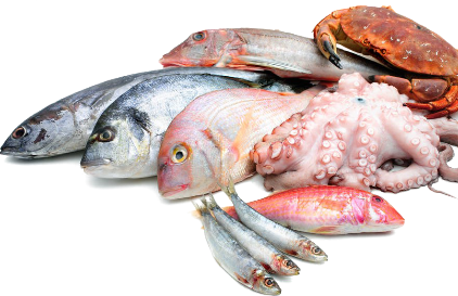 fish