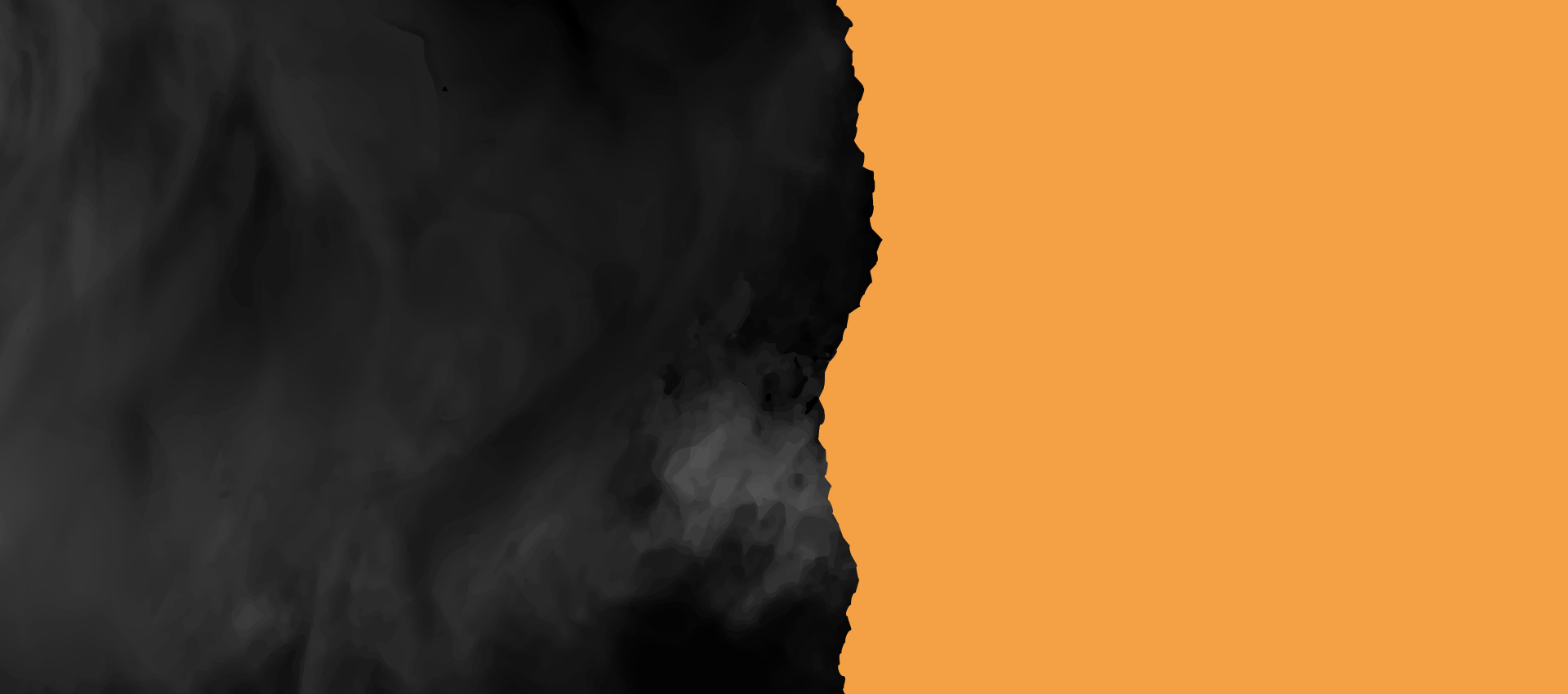 banner_back