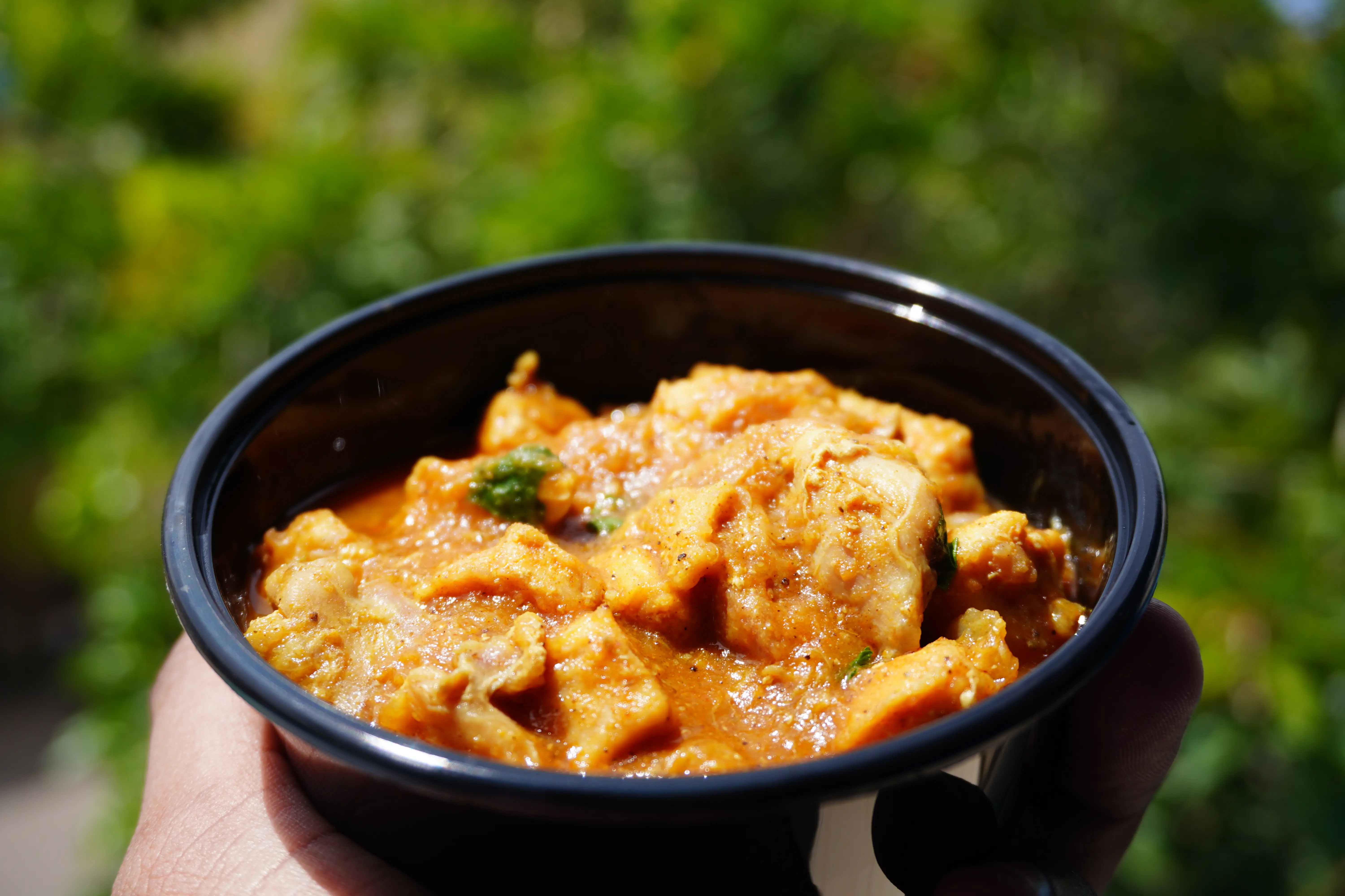Chicken Gravy