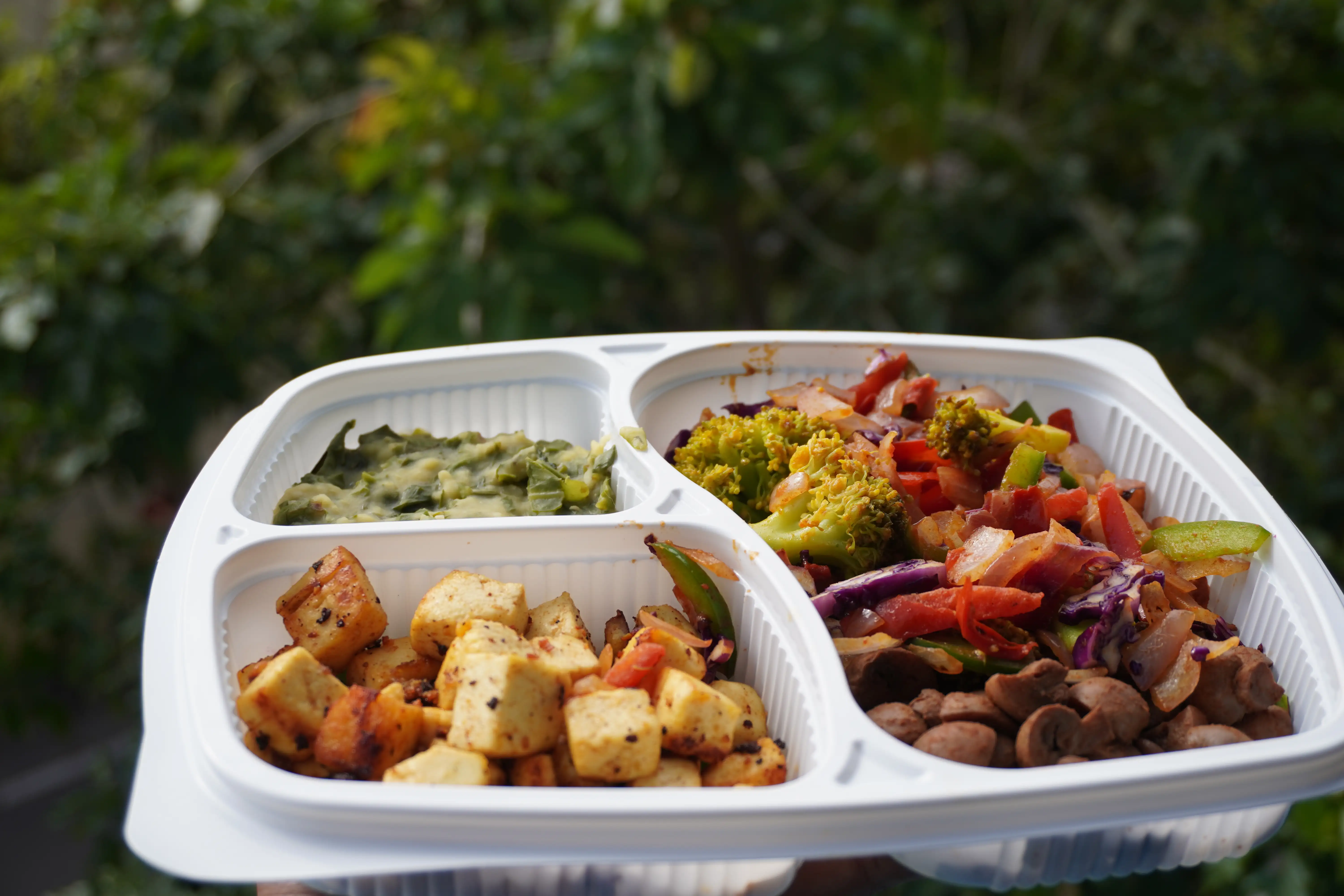 paneer-veggies-medley-bowl-medium