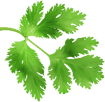 test-salad-small
